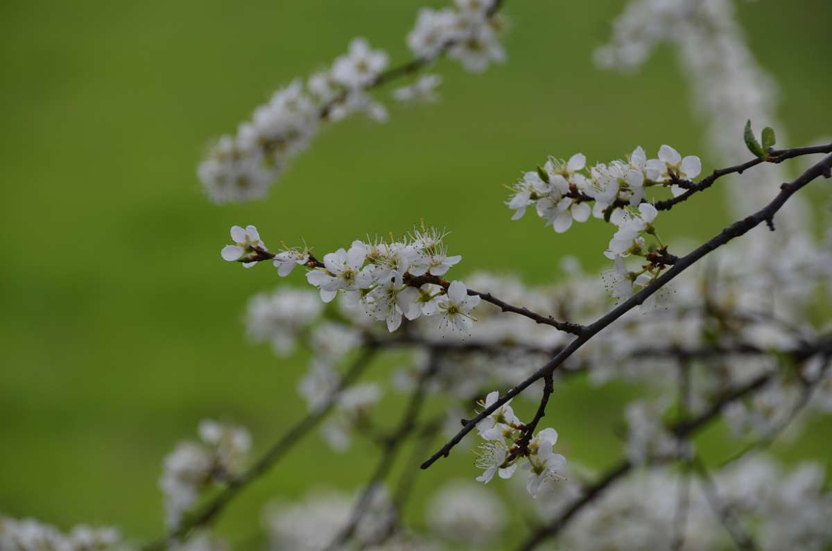 2014-03-31 15-51-33.JPG